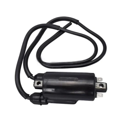 Abbildung von Zündspule Für CBR 600 F4i 2004 CBR600 F2 / F3 CBR900RR 900 RR ST1100 ST1300 Motorrad 12V Externe CDI Zündungen