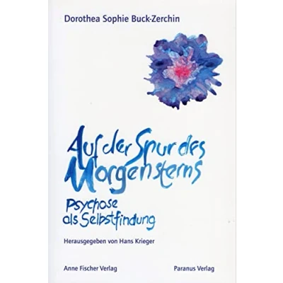 Abbildung von Auf der Spur des Morgensterns: Psychose als Selbstfindung