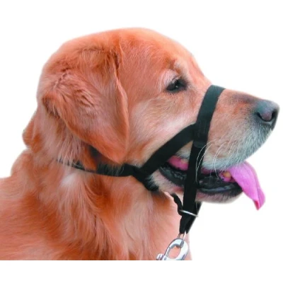 Abbildung von Nobby Hunde Erziehungsgeschirr Easy Leader