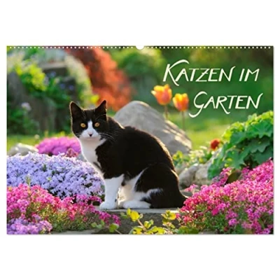 Abbildung von Katzen im Garten (Wandkalender 2025 DIN A2 quer), CALVENDO Monatskalender