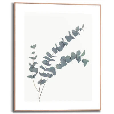 Abbildung von Reinders Bild mit Rahmen &quot;Eucalyptus&quot;, (1 St.)