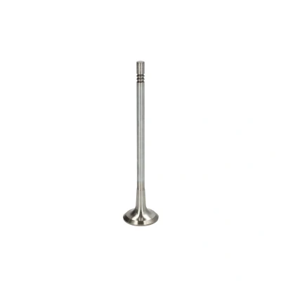 Abbildung von Auslassventil TRW Engine Component 291134
