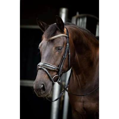 Abbildung von HB Showtime Zaum Golden Dreams Schwarz/Gold Funkeln Warmblut
