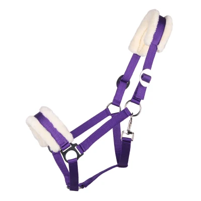 Abbildung von Q essentials Halster Cali