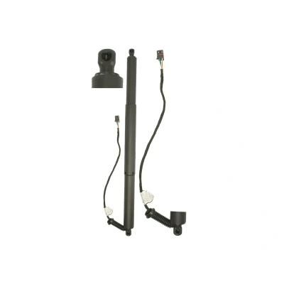 Abbildung von Elektromotor, Heckklappe MAGNUM TECHNOLOGY MGS0198MT
