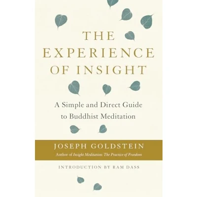 Abbildung von The Experience of Insight: A Simple and Direct Guide to Buddhist Meditation