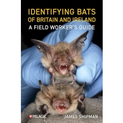 Abbildung von Identifying Bats of Britain and Ireland: A Field Worker’s Guide (Pelagic Identification Guides)