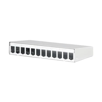 Abbildung von BTR Blumberger METZ Connect Modul AP Gehäuse 12 Port reinweiß, unbestückt