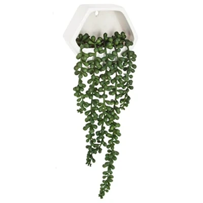 Abbildung von Kunstpflanze Zimmerpflanze, Atmosphera Créateur d&#039;intérieur, Höhe 12.5 cm