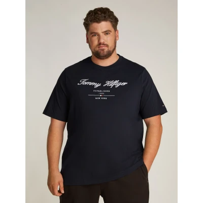 Abbildung von Tommy Hilfiger Script LOGO TEE Tshirt print, Herren, Größe: 3XL, Desert sky
