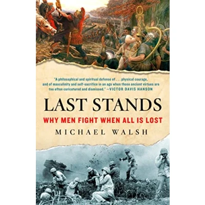 Abbildung von Last Stands: Why Men Fight When All Is Lost