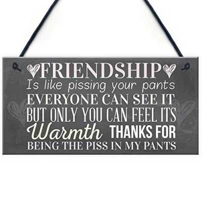Abbildung von RED OCEAN Schild mit Aufschrift &quot;Best Friends&quot;, lustiges Dankeschön, zum Aufhängen, Shabby Chic Stil, Aufhängen