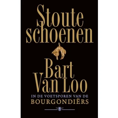 Abbildung von Stoute schoenen: in de voetsporen van Bourgondiërs