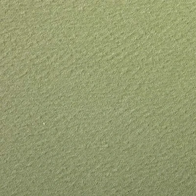 Abbildung von Clairefontaine 93884C Packung (mit 25 Bögen Zeichenpapier Etival Color, DIN A4, 21 x 29,7 cm, 160g, gekörnt, ideal für Trockentechnik und Einrahmen) olivgrün