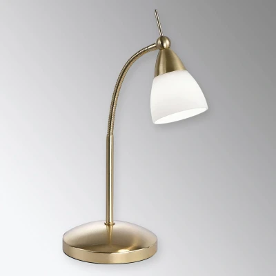 Abbildung von Paul Neuhaus Tischleuchte Pino, messing, 45 cm, dimmbar, G9