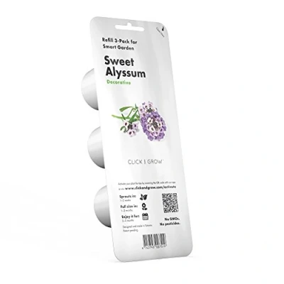 Abbildung von Click &amp; Grow Süße Alyssum Pflanzenschoten, Zierpflanze, Felsensteinkraut, Starter Set, 7 14 Tag(e), 18 24 C, 3 Stück(e)