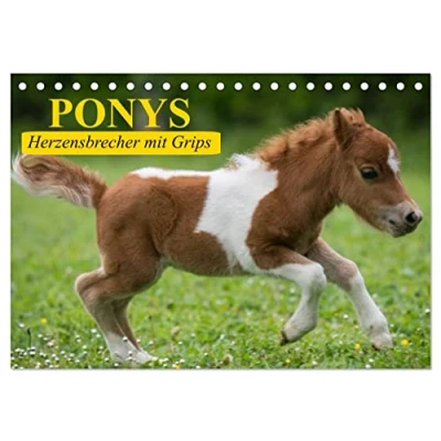 Abbildung von Ponys. Herzensbrecher mit Grips (Tischkalender 2025 DIN A5 quer), CALVENDO Monatskalender