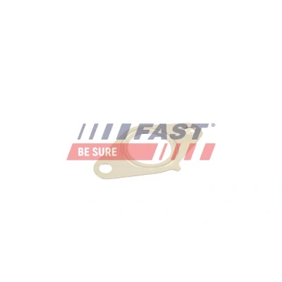 Abbildung von Dichtung, AGR Ventil FAST FT50616