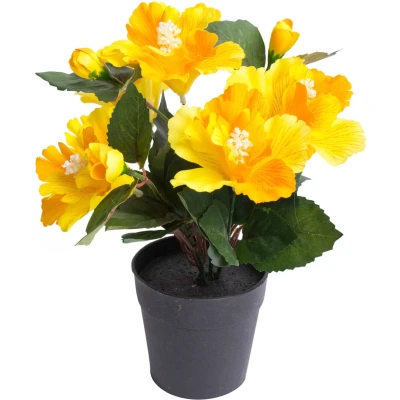 Abbildung von Botanic Haus Kunstblume &quot;Hibiskus im Topf&quot;
