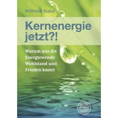 Abbildung von Kernenergie jetzt?!: Warum uns die Energiewende Wohlstand und Frieden kostet
