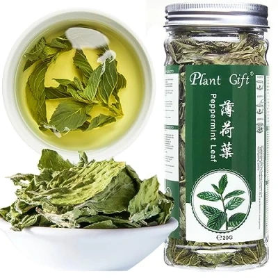 Abbildung von Plant Gift 100% Peppermint Tea, 薄荷叶 Pfefferminztee, Minztee, Pfefferminzurlaub, Gesundheitsfee, Bio Pfefferminz Teebeutel, Gesundheitsblume, traditionelle Medikamente Pfefferminztee 30g / 1.05oz
