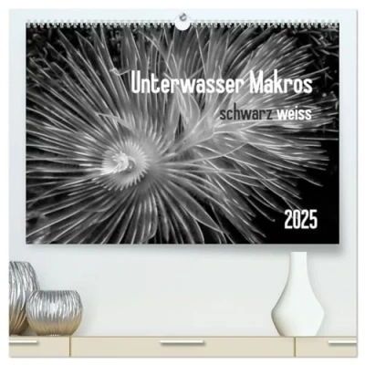 Abbildung von Unterwasser Makros schwarz weiss 2025 (hochwertiger Premium Wandkalender DIN A2 quer), Kunstdruck in Hochglanz