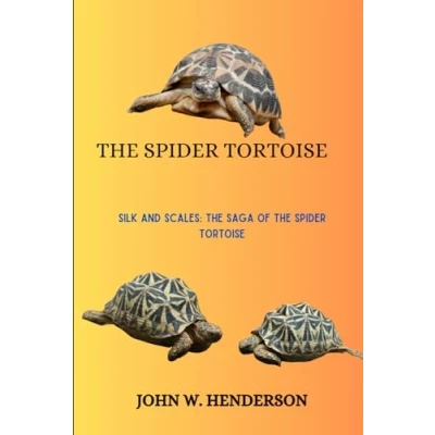 Abbildung von the Spider TORTOISE: Silk and Scales: Saga of Tortoise