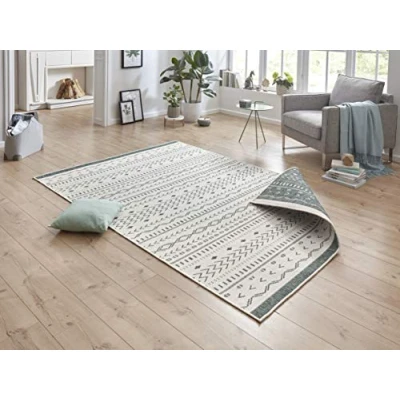 Abbildung von NORTHRUGS in und Outdoor Teppich Kuba 160x230cm Wendeteppich Wetterfest Boho Design Ethno Muster Läufer für Balkon Terrasse Garten Wintergarten Wohnzimmerteppich Wasserfest Grün Creme