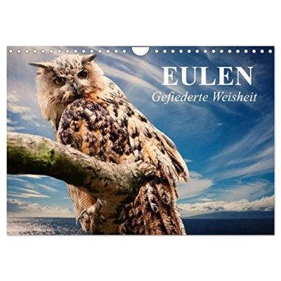 Abbildung von Eulen. Gefiederte Weisheit (Wandkalender 2025 DIN A4 quer), CALVENDO Monatskalender