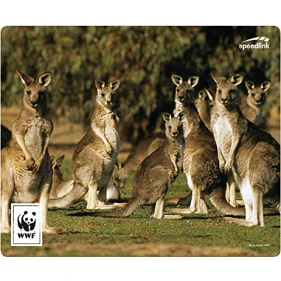 Abbildung von Speedlink Mauspad TERRA WWF