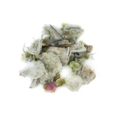 Abbildung von Kretischer Diktamos Bergtee BIO, ganz 50g von Dragonspice Naturwaren,