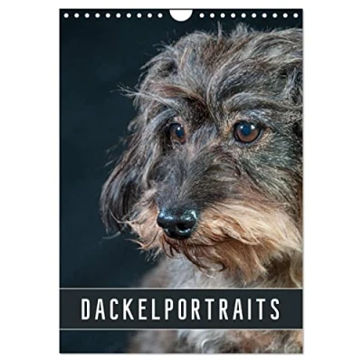 Abbildung von Dackelportraits (Wandkalender 2025 DIN A4 hoch), CALVENDO Monatskalender