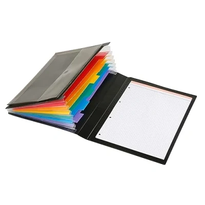 Abbildung von Viquel Manager Ordnungsmappe 6 Positionen Rainbow Class mit Tür Block