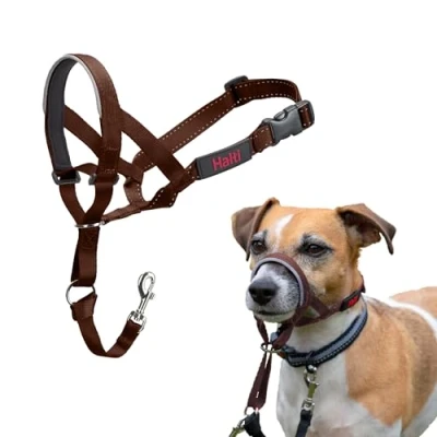 Abbildung von HALTI Kopfgeschirr Verhindert, dass Ihr Hund an der Leine zieht, Einfache Anpassung, Leicht, mit gepolstertem Nasenriemen, Anti Zug Halsband für kleine Hunde (Größe 1, Walnussbraun)