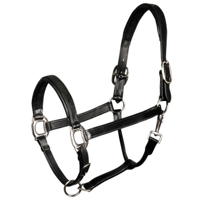 Abbildung von Harry&#039;s Horse Halfter Leder, gepolstert Cob Schwarz