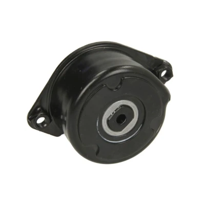 Abbildung von INA 534 0171 10 Spannarm, Keilrippenriemen BMW: 5 Limousine, 3 Touring, LAND ROVER: Freelander I SUV, SUV Cabrio