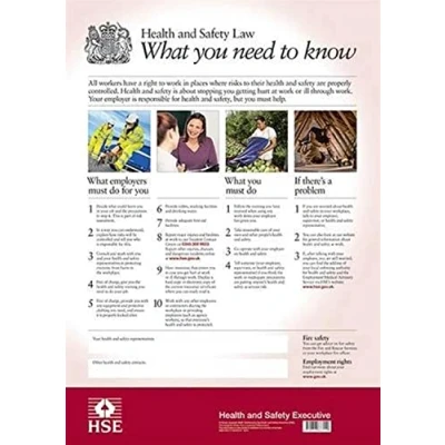 Abbildung von Health and safety law: what you need to know (Statutory Instruments 2024)