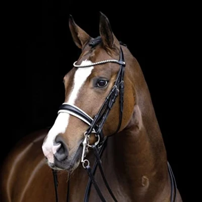 Abbildung von HKM Kandarenzaum Dina Schwarz Pony