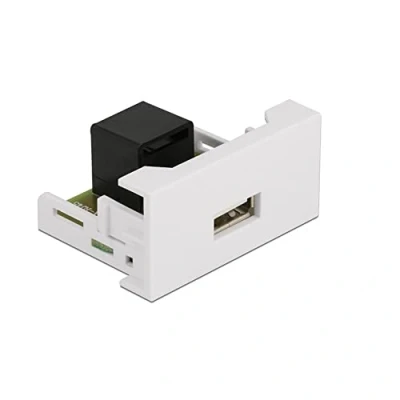 Abbildung von Delock Easy 45 Modul USB 2.0 Typ A Buchse zu RJ45 22,5 x mm