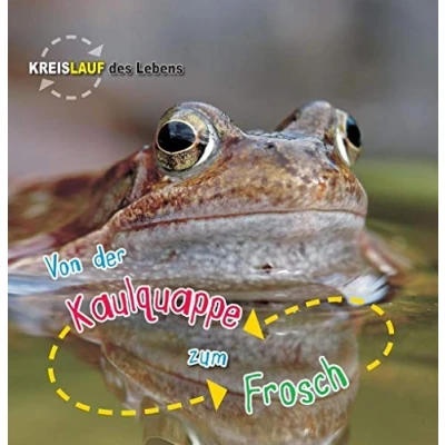 Abbildung von Von der Kaulquappe zum Frosch: Kreislauf des Lebens (CORONA Sachbücher)