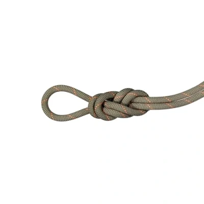 Abbildung von Mammut 9.9 Gym Workhorse Classic Rope Standard 30 m