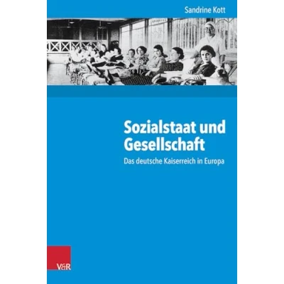 Abbildung von Sozialstaat und Gesellschaft: Das deutsche Kaiserreich in Europa (Kritische Studien zur Geschichtswissenschaft, Bd. 214)