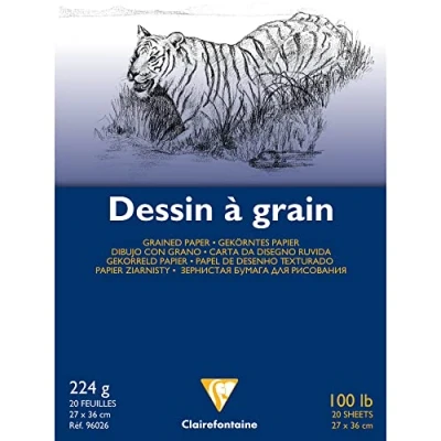 Abbildung von Clairefontaine 96025C Zeichenblock (20 Blatt, 224 g, 27 x 36 cm, ideal für Kunstunterricht, geleimt) weiß