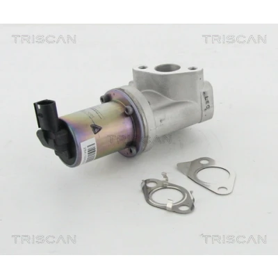 Abbildung von TRISCAN 8813 43021 AGR Ventil elektrisch mit Dichtungen HYUNDAI: i30 I Schrägheck, II Kombi, KIA: Venga, cee‘d Kombi