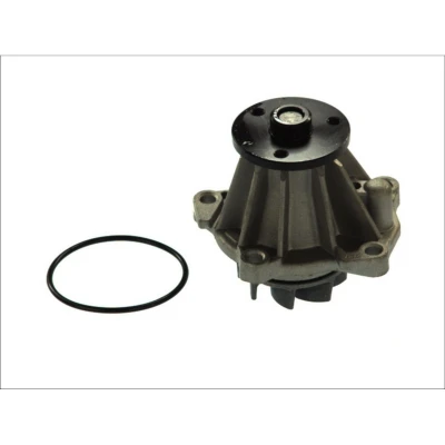 Abbildung von THERMOTEC D1G033TT Wasserpumpe mit Dichtung mechanisch FORD: Scorpio Mk1 Limousine, Galaxy MPV, Sierra Mk2 Schrägheck
