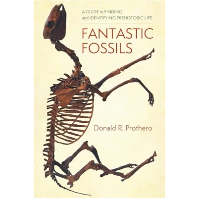 Abbildung von Fantastic Fossils: A Guide to Finding and Identifying Prehistoric Life
