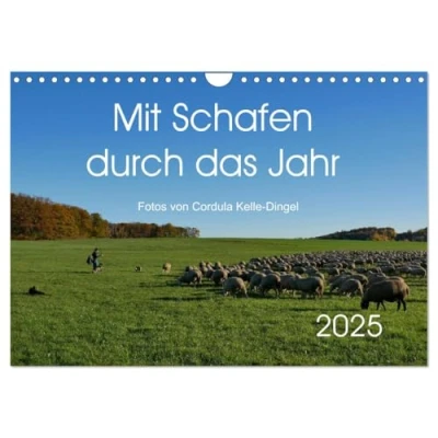 Abbildung von Mit Schafen durch das Jahr (Wandkalender 2025 DIN A4 quer), CALVENDO Monatskalender