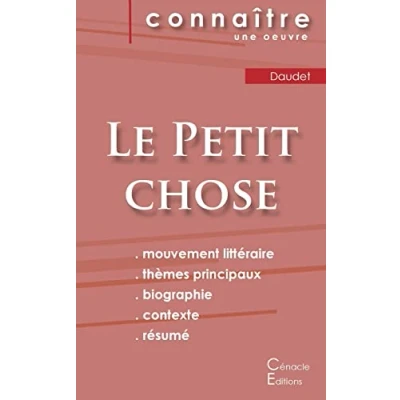Abbildung von Fiche de lecture Le Petit chose Alphonse Daudet (Analyse littéraire référence et résumé complet)