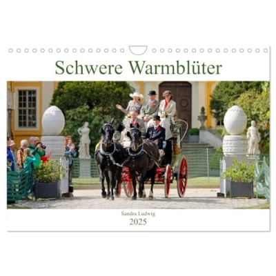 Abbildung von Schwere Warmblüter 2025 (Wandkalender DIN A4 quer), CALVENDO Monatskalender
