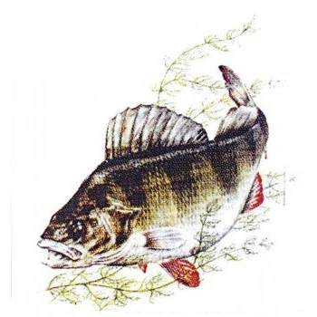 Abbildung von PVC Aufkleber Applikation Fisch Fische Angler ANGELN 307137 Gr. ca. 8 x 9 cm